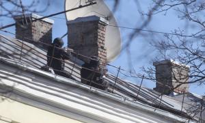 Міліція стріляє по мітингувалькам з дахів