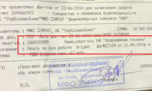 Благодійний фонд Межигір’я ліквідували після перших «зачисток» на Майдані