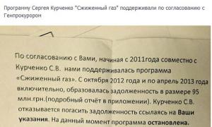 Програму Курченка про скраплений газ підтримували за погодженням з Пшонкою