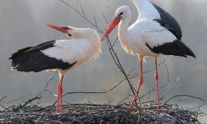 Початок тижня в Україні буде теплим і сонячним
