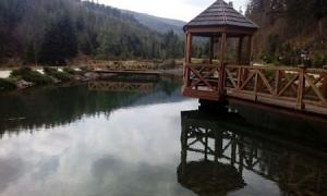 До закарпатського маєтку Медведчука пускатимуть відвідувачів