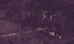 У Правому секторі вважають, що Сашка Білого могли «закрити», щоб не висовувався