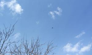 Винищувачі Росії перетинали кордон України