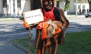 У центрі Кишенева молдованин із ручною свинею протестував проти колорадської стрічки