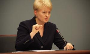 У Литві відбувся перший тур виборів президента, лідирує чинний глава держави