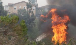 30 тисяч мешканців Каліфорнії евакуювали через лісові пожежі