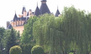 Ахметов оселився по сусідству з Тимошенко