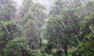 Липень почався зі злив, спеку обіцяють через кілька днів