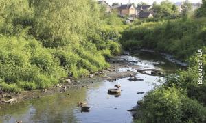 Сапалаївку таки почистять