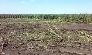 Прикордонники знайшли місце, де переправляли російську військову техніку через український кордон