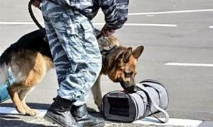 Київ минулого тижня "мінували" 32 рази