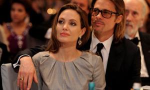 Діти розмалювали весільну фату Анджеліни Джолі