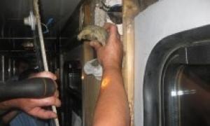 Митники зняли з потягу 250 живих черепашок