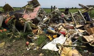 9 вересня Нідерланди опублікують звіт про катастрофу малайзійського Боїнга
