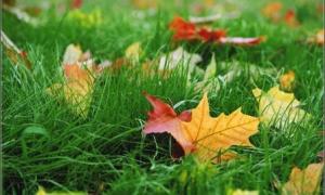 Синоптики кажуть, що вересень буде теплим