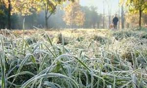 В Україну йдуть заморозки