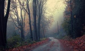 На схід України насуваються сильні дощі та шквали