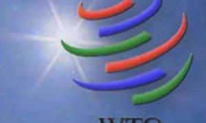 Україна хоче потрапити до клубу елітних аграрних країн
