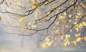 Україну охоплять перші морози, які протримаються до кінця жовтня