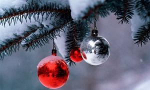 Кожного року лісництва зрізають 5,5 мільйона новорічних ялинок