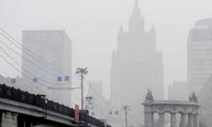Москва знову потерпає від смороду: цього разу через спалювання дерев