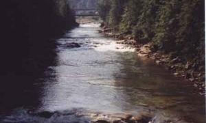 В Яремче відбудеться літературний фестиваль