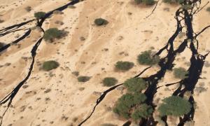 В Ізраїлі витекло кілька мільйонів літрів нафти