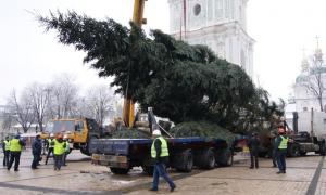На Софійській площі встановили головну ялинку країни