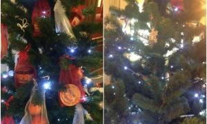 Москвичі по-варварськи поздирали з новорічної ялинки заборонені мандарини