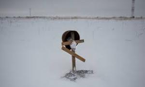 162 українських бійців загинули на Донбасі за час «перемир’я»