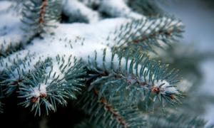 Україні на новорічну ніч напрогнозували сніг і морози