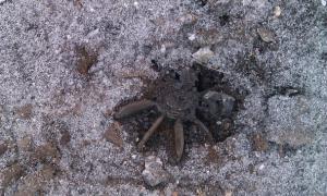 У перший день нового року бойовики занурили у вогонь Дебальцеве