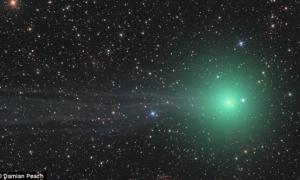 Над Землею засяє зелена комета