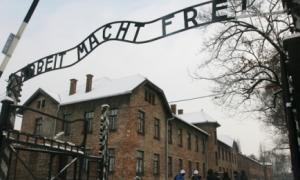 У Польщі розповіли, що Освенцим визволили українці