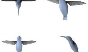 Учені створили робота-колібрі