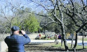 ЗМІ пишуть, що Віктор Янукович пережив інфаркт