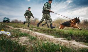 Рада проголосувала за збільшення кількості прикордонників