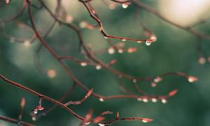 Синоптики кажуть, що у квітні тепла чекати не варто