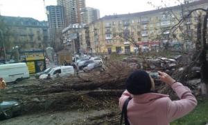 Києвом пронісся ураган, який ламав дерева і білборди