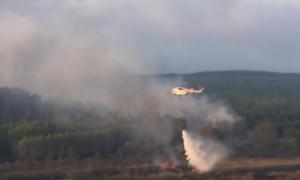 Рятувальникам вдалося зупинити пожежу біля Чорнобилю