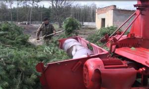 Маневицький лісгосп єдиний в Україні випускає хвойний екстракт