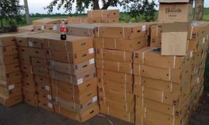 Два десятки вантажівок з товарами не потрапили до терористів