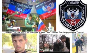 Міліції стали відомі імена 30 бойовиків з банди Гіві 