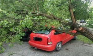 Польщею пронісся потужний буревій, внаслідок якого загинула людина
