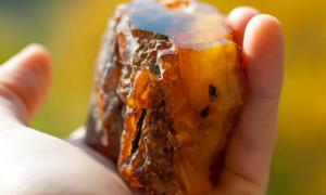 Прикордонники спільно із СБУ викрили «сірий» канал контрабанди бурштину