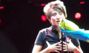 У Росії ОМОНівці напали на фанів Земфіри