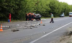 На Вінниччині в аварії через кота загинули дві людини 