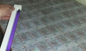 СБУ затримала на хабарі податківця
