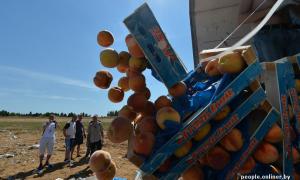 У РФ на кордоні з Білоруссю знищують 200-тонну партію персиків й винограду