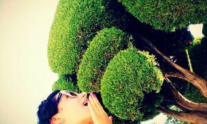 Злата Огнєвіч відпочиває в Мадриді й тішиться деревами, котрі «як гігантські броколі»